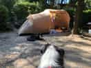 Onze tent