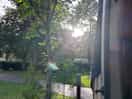 Evening sun.
