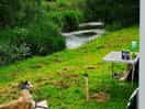 Chilling in the quietness of the flowing river birds singing