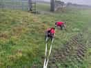 Walkies