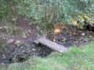 Public footpath