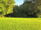 Near campsite