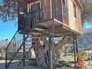 Treehouse onsite