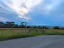Beautiful evening walk around.