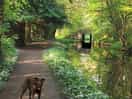 Canal tow path