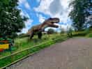 Trex