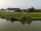 Snake lake