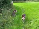 On the walk to the pub at mumby.