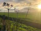 Beautiful sunrise