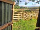 View from the loo