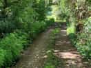 Walking area