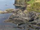 Coastal path