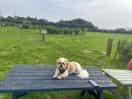 Relax