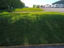 Steep banks along the hedge side