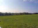 View from top of main camping field towards woodland and shared seating circle