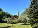 Local church