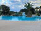 Fantastic pool