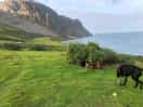 Coastal path