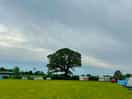 Field area
