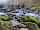 Lovely river
