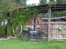 Rustic and peaceful scenery.
