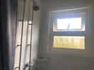 Showers nice and clean