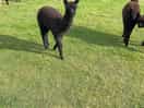 Our friendly neighbours