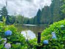 Over the large fishing lake
