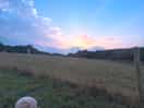 Morning sunrise