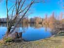 Lac