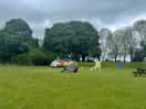 View across the camping field from our tent. the kids loved playing on the various slides available