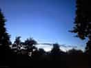 Night time skies with perseid showers