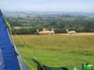 Alpacas and tent