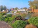 Nice lake area