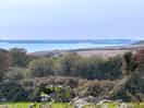 View from the deck