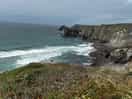 Walking nearby in lizard only a few minutes drive away