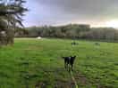 Bottom camping field