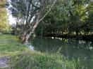 River next to campsite