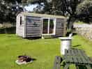 Dog loved it to....