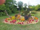 Jardin municipal