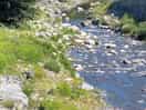 Near the cycle/path to walk along the river