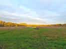 Camping field