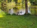 Hoort bij de camping