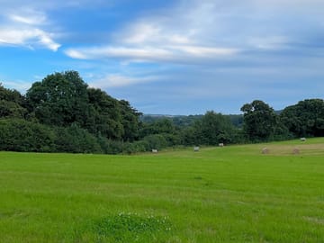 Grassy pitches