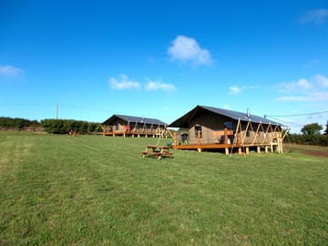 Safari tents in the spacious field