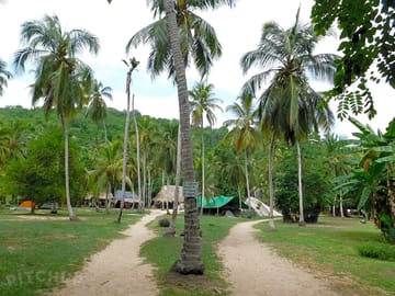 Green and nature-filled site