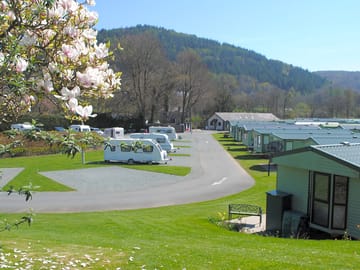 The Park