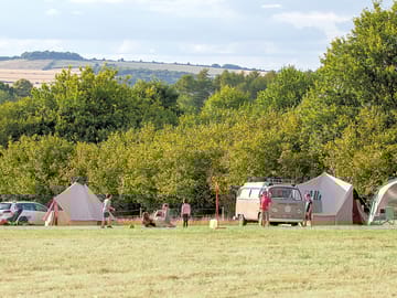 Pitches on Harry's Meadow