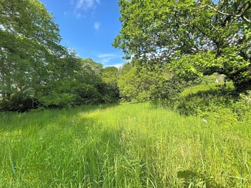 Grassy pitches