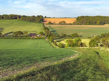 Walk the Icknield Way to the campsite